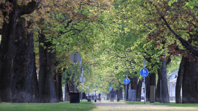 Vihreä puisto Heli Nukin ottamassa kuvassa.