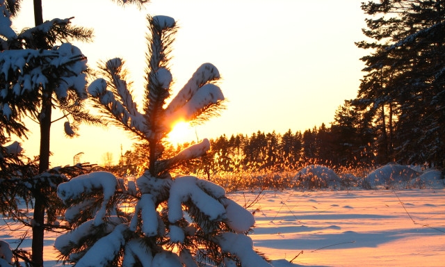 Talvinen maisema auringonlaskussa.