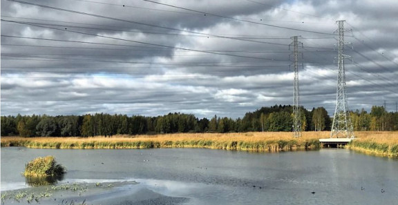 Kuva mereltä kohti mannerta Finnoon kohdalla.