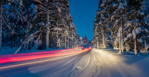 Liikennekuvaa talvisesta metsästä