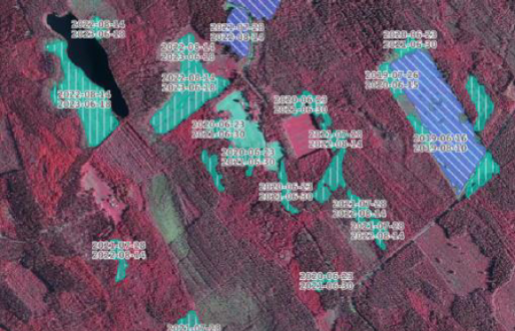 Satelliittikuva metsästä.